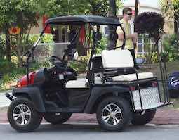 Best Golf Cart for The Money
